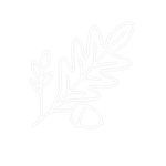 b20b6299-5130-4395-95bb-3c2e85dbbee8